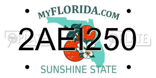 2AEI250 Florida License Plate