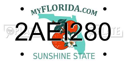 2AEI280 Florida License Plate