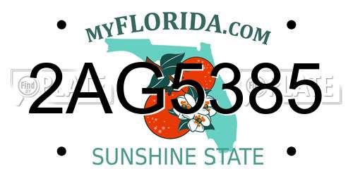 2AG5385 Florida License Plate