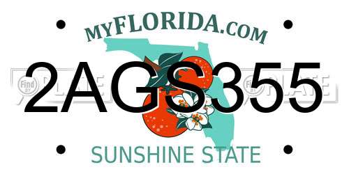2AGS355 Florida License Plate
