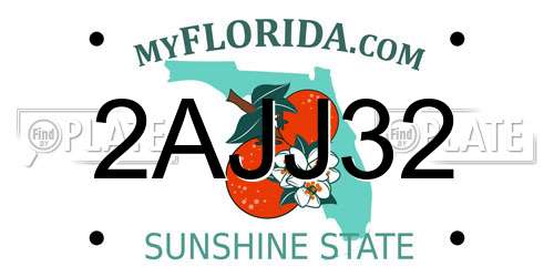 2AJJ32 Florida License Plate