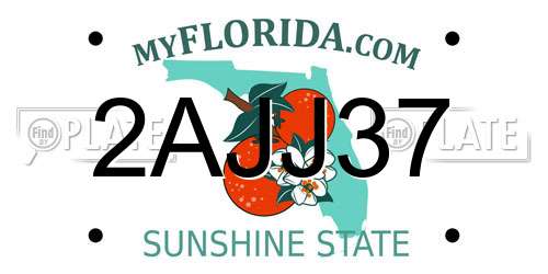 2AJJ37 Florida License Plate
