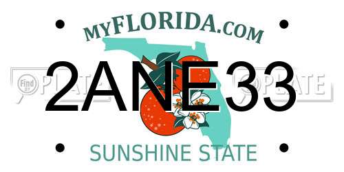 2ANE33 Florida License Plate