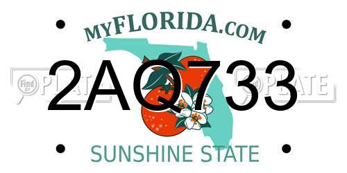 2AQ733 Florida License Plate