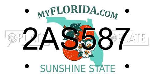 2AS587 Florida License Plate