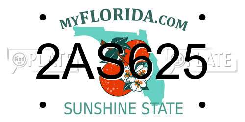 2AS625 Florida License Plate
