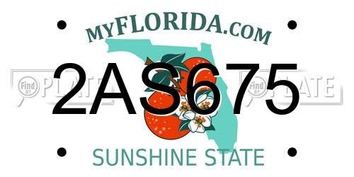 2AS675 Florida License Plate
