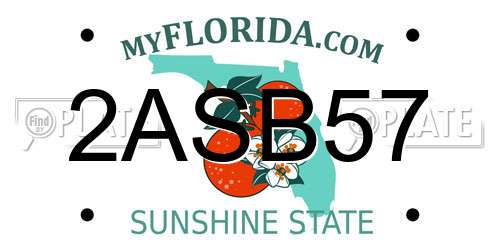 2ASB57 Florida License Plate