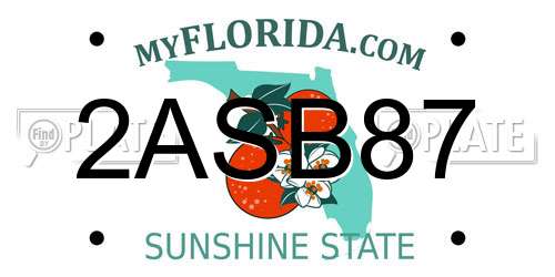 2ASB87 Florida License Plate