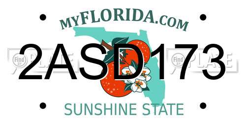 2ASD173 Florida License Plate