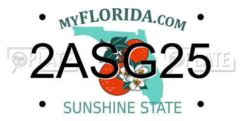 2ASG25 Florida License Plate