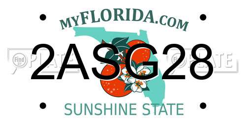 2ASG28 Florida License Plate