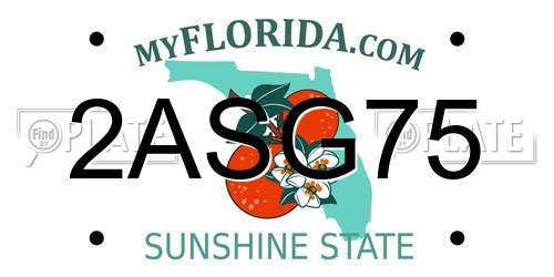 2ASG75 Florida License Plate
