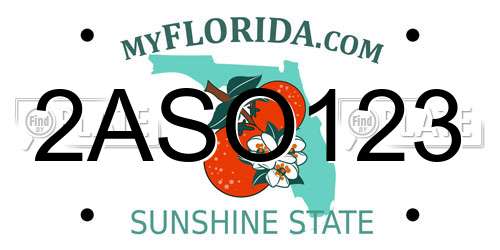 2ASO123 Florida License Plate