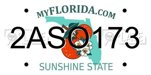 2ASO173 Florida License Plate