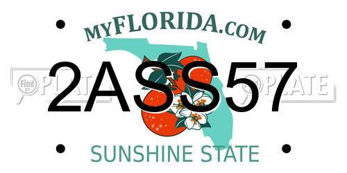 2ASS57 Florida License Plate