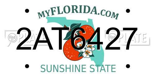 2AT6427 Florida License Plate