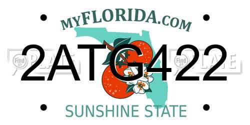 2ATG422 Florida License Plate