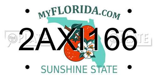 2AXI166 Florida License Plate