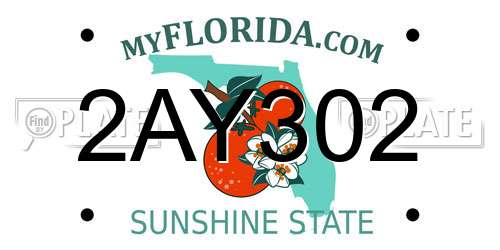 2AY302 Florida License Plate