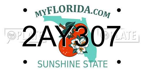 2AY307 Florida License Plate
