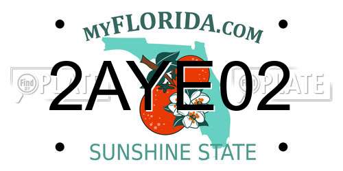 2AYE02 Florida License Plate