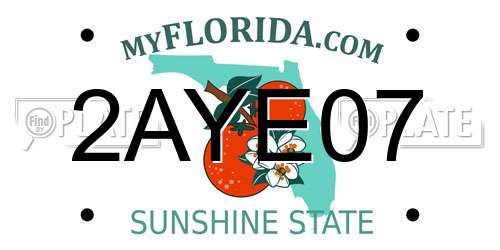 2AYE07 Florida License Plate