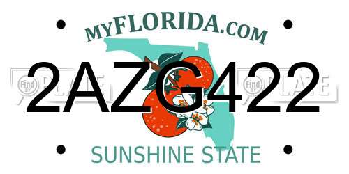 2AZG422 Florida License Plate