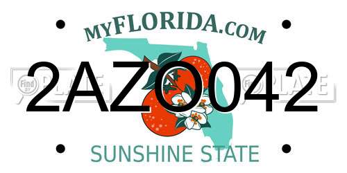 2AZO042 Florida License Plate
