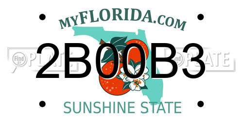 2B00B3 Florida License Plate