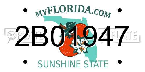 2B01947 Florida License Plate