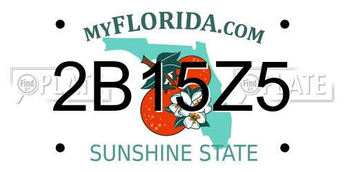 2B15Z5 Florida License Plate
