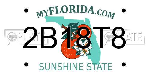 2B18T8 Florida License Plate