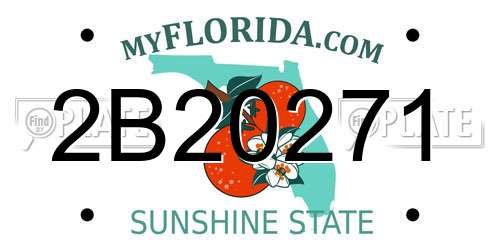 2B20271 Florida License Plate
