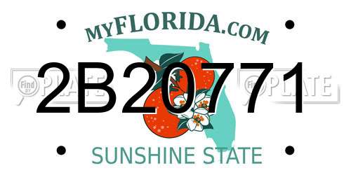 2B20771 Florida License Plate