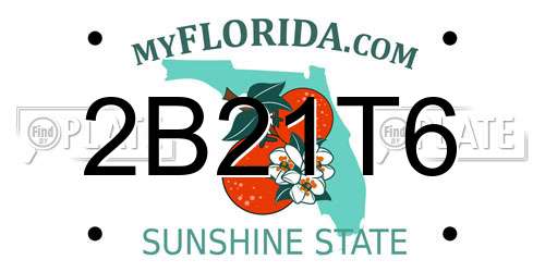 2B21T6 Florida License Plate