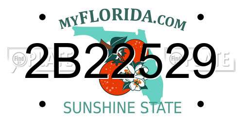 2B22529 Florida License Plate