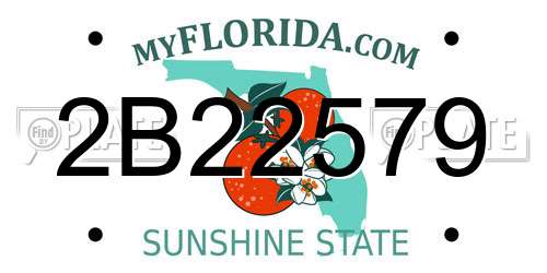 2B22579 Florida License Plate