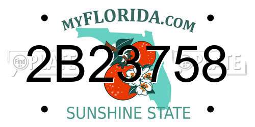 2B23758 Florida License Plate