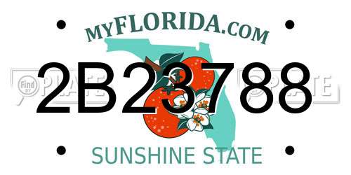 2B23788 Florida License Plate