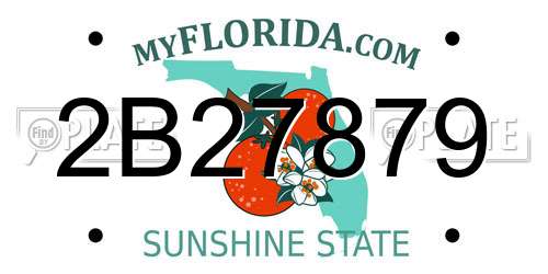 2B27879 Florida License Plate