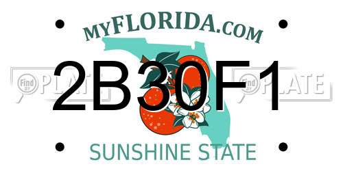2B30F1 Florida License Plate