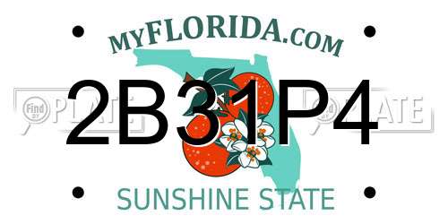 2B31P4 Florida License Plate