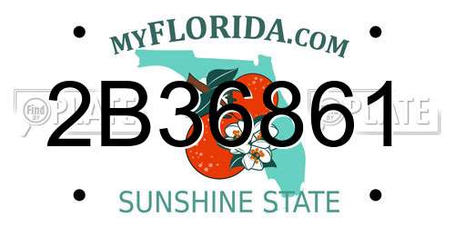 2B36861 Florida License Plate