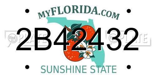 2B42432 Florida License Plate