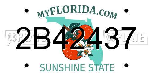 2B42437 Florida License Plate