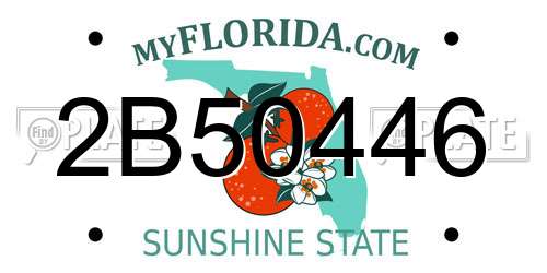 2B50446 Florida License Plate