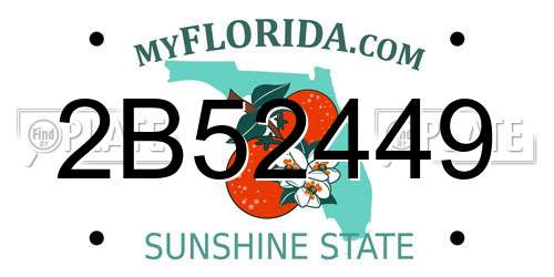 2B52449 Florida License Plate