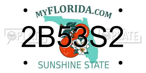 2B53S2 Florida License Plate