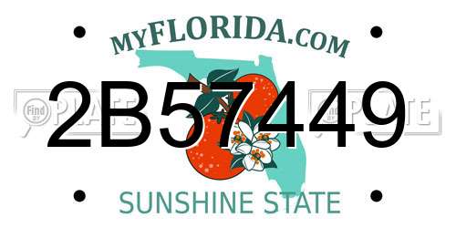 2B57449 Florida License Plate